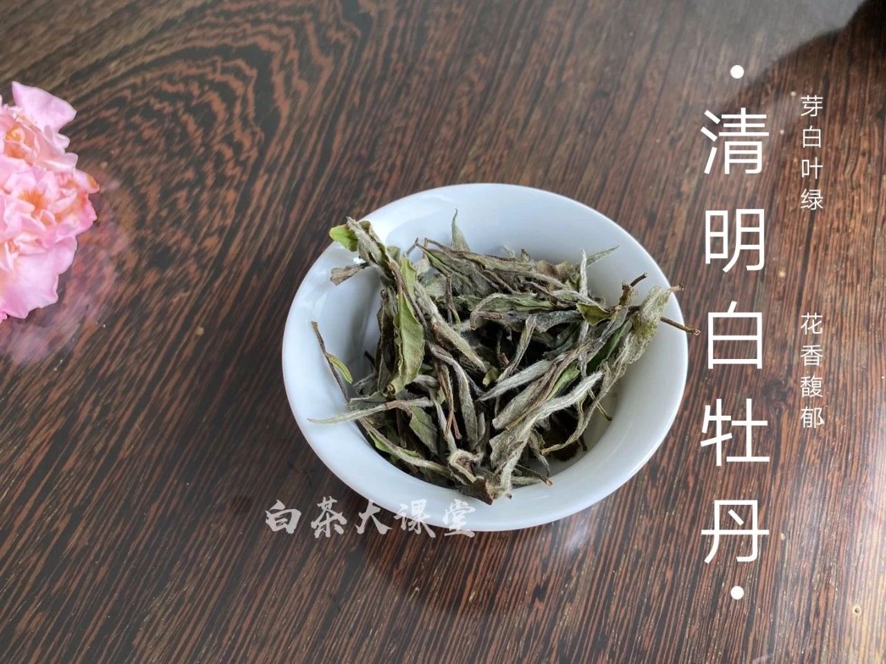 安吉白茶是属于什么茶类(安吉白茶为什么叫“白茶”？从六大茶类角度来看，它属于什么茶？)