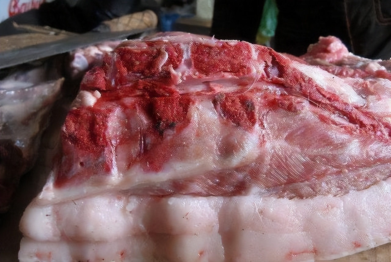 老母猪排骨图片(母猪肉能吃吗) - 赤虎壹号