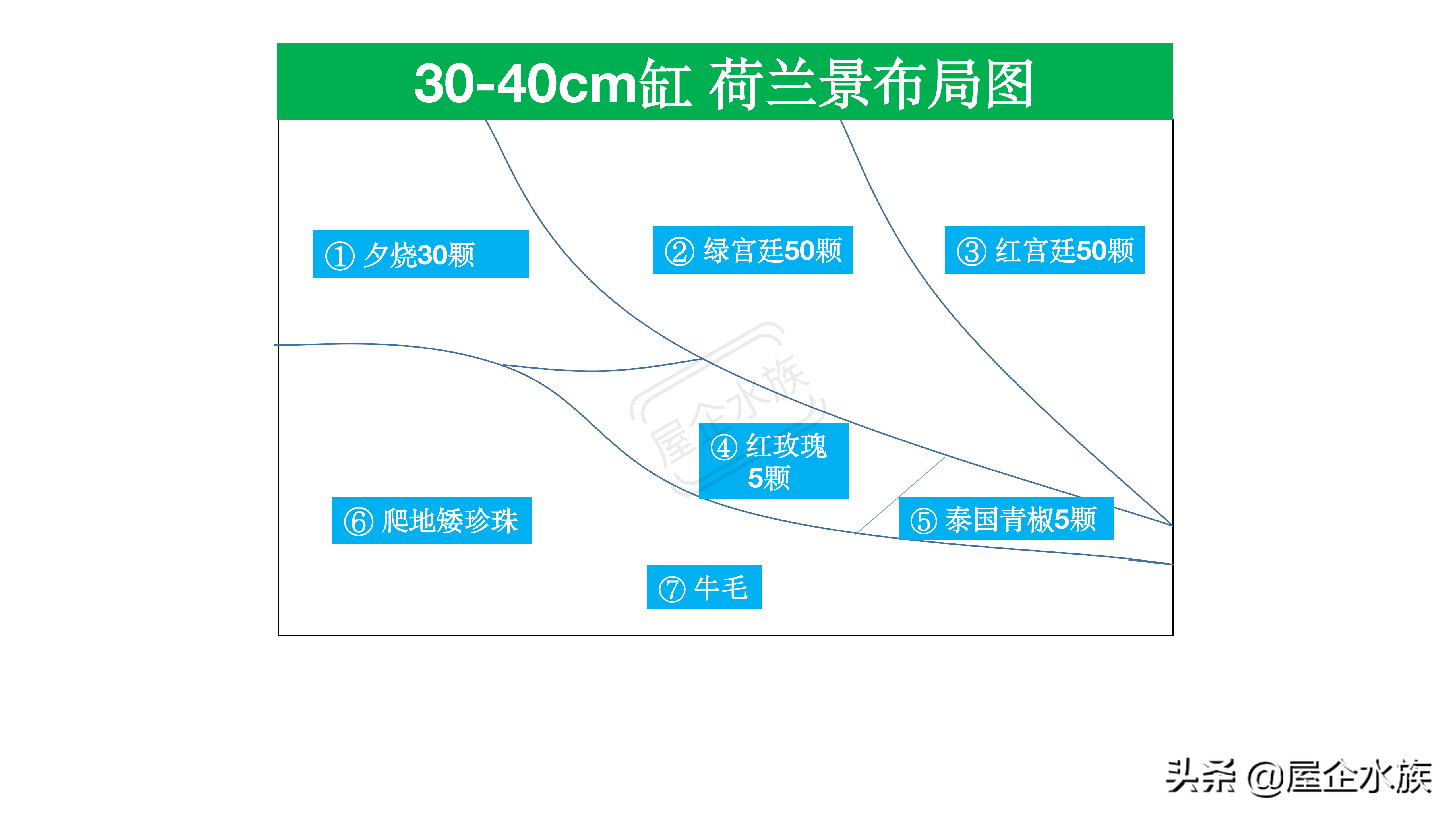 1米2荷兰缸(水草造景风格——荷兰式造景)