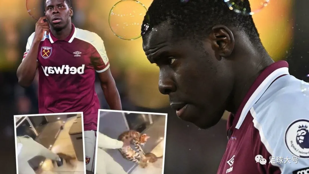 阿迪达斯决定终止和祖马的合作（重罚！宣布解约）