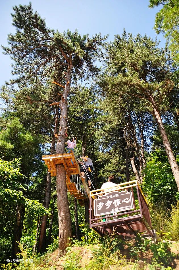 因麥積山而來 留植物園忘返！麥積山植物園帶你體驗叢林探險的樂趣