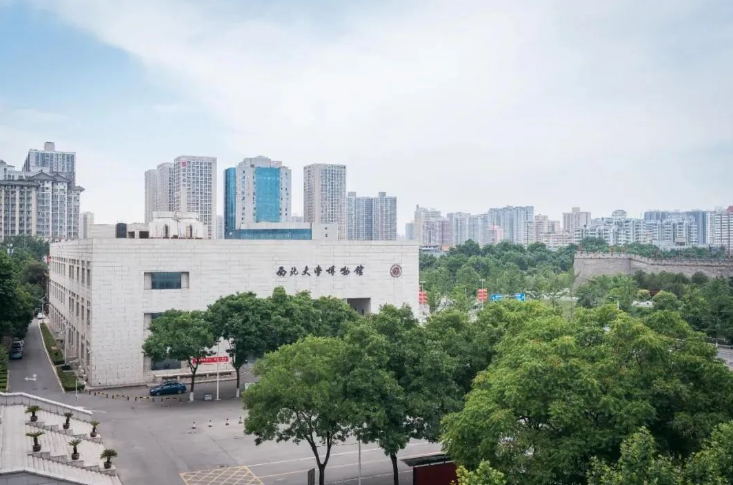 火上央视！这些“国宝级”文物就藏在陕西这所大学，世界罕见