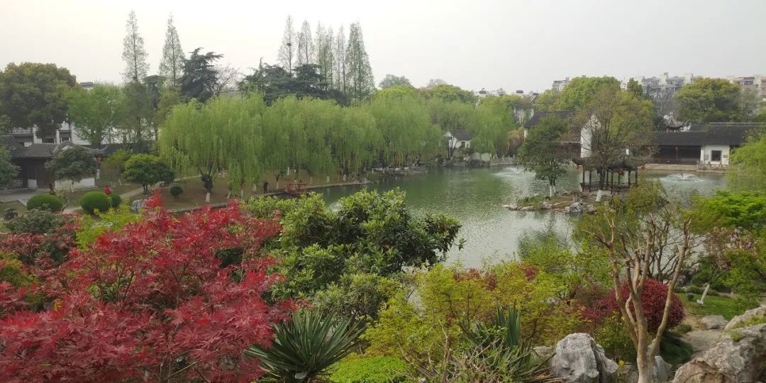 南京，除了钟山风景区，我还去了这些地方