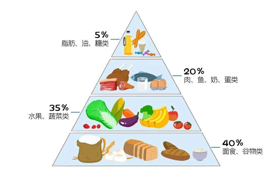 营养膳食金字塔图片（营养金字塔黄金三角营养架构）