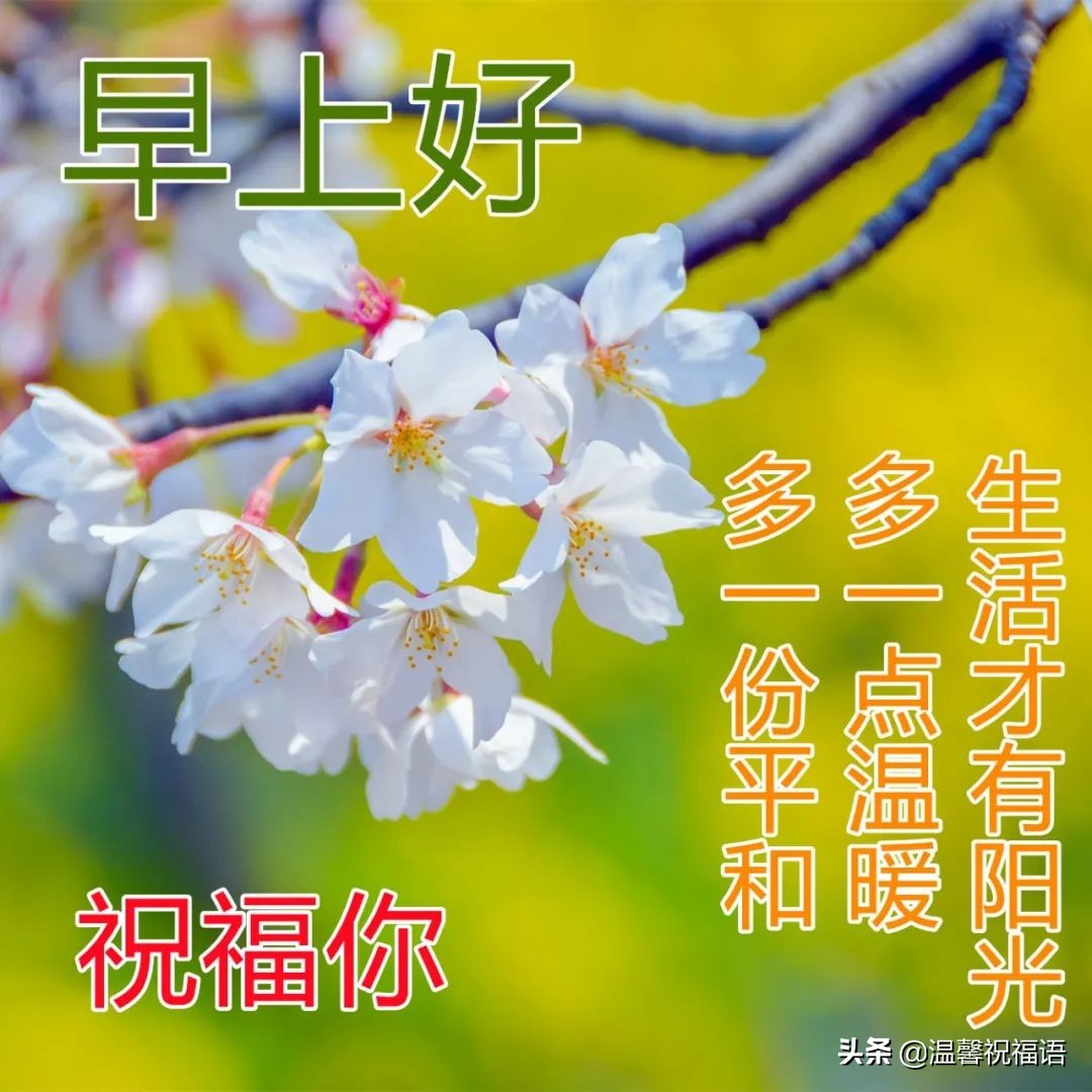 4月29日星期五清晨早上好图片带字语录 温馨早安问候语简短大全