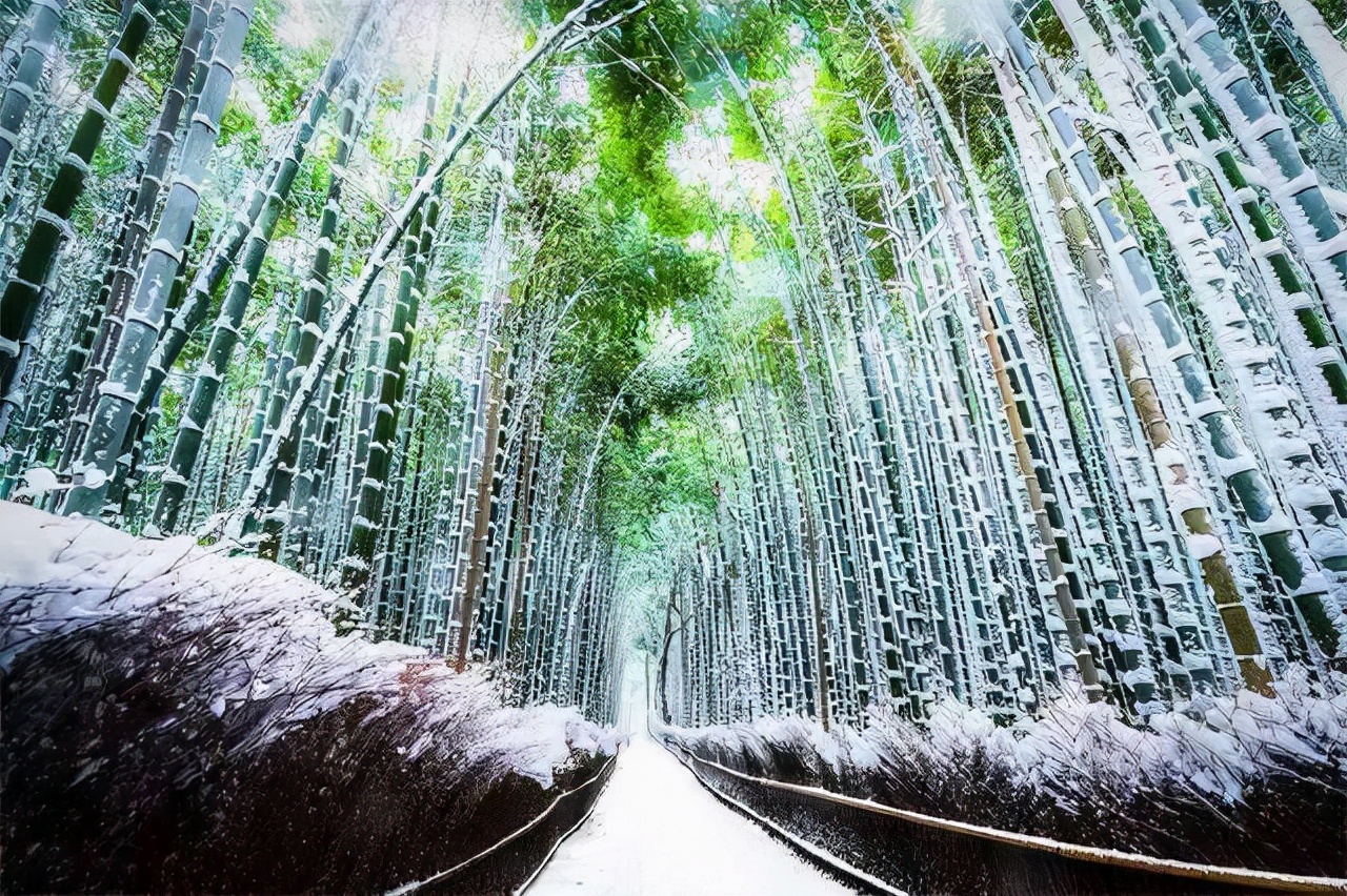 赏读：风敲竹生韵，雪落入隆冬