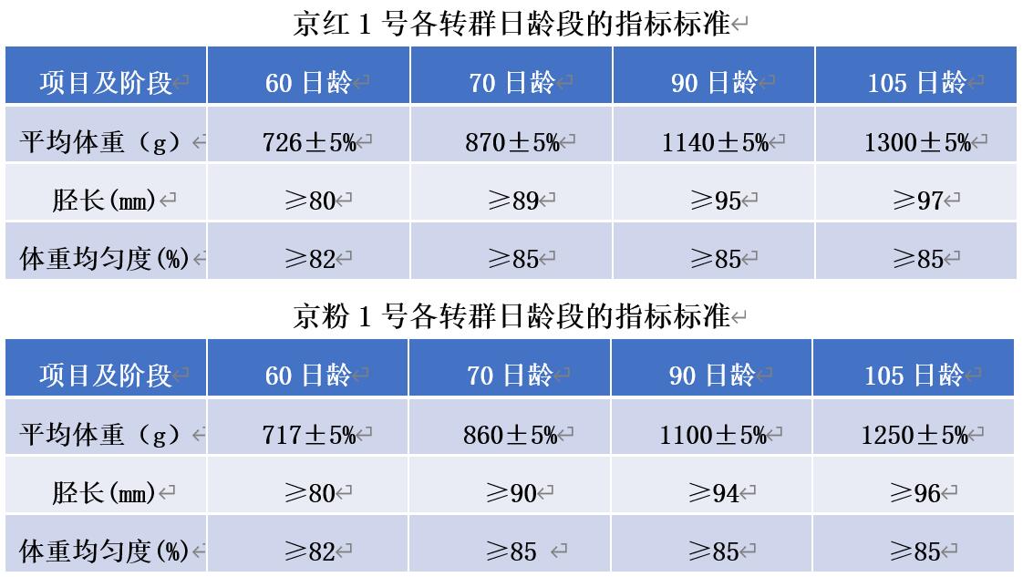 夏天遠距離轉(zhuǎn)群管理方法中都有哪些特別注意呢？遠卓農(nóng)牧養(yǎng)殖課堂