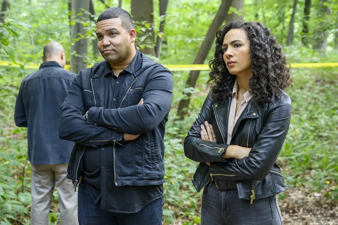 嗜血法医第三季豆瓣(《浪子神探》:医生犯下23起罪案,与儿子隔空搭档