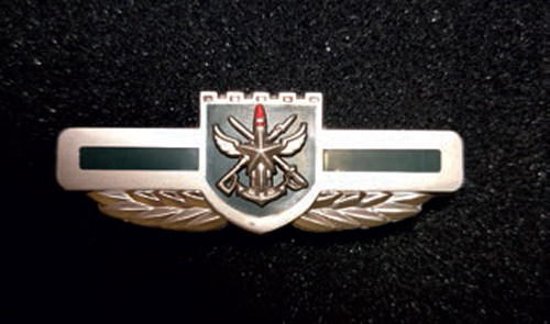 你没见过的红色徽章记忆