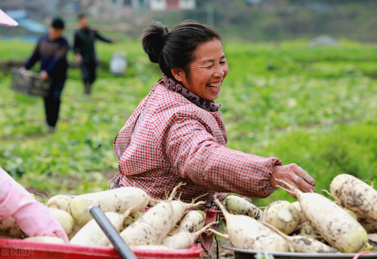 干部培训心得 | 珍惜机遇，义无反顾，当好乡村振兴的生力军