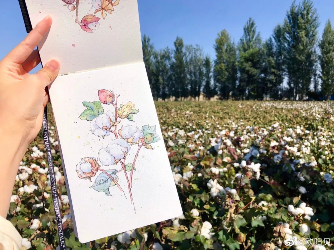 95后美女教你画钢笔淡彩，张张都是精品，构图和配色超棒