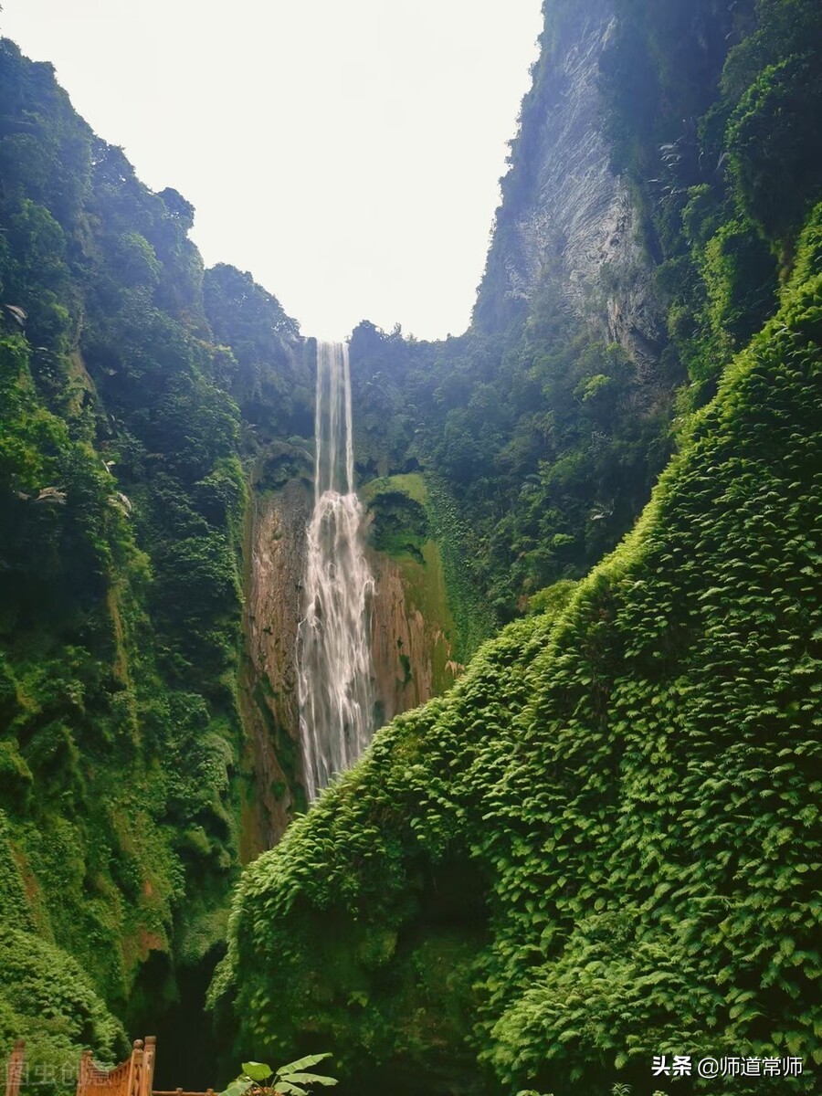 书香校园 |儒雅教育每日一句经典