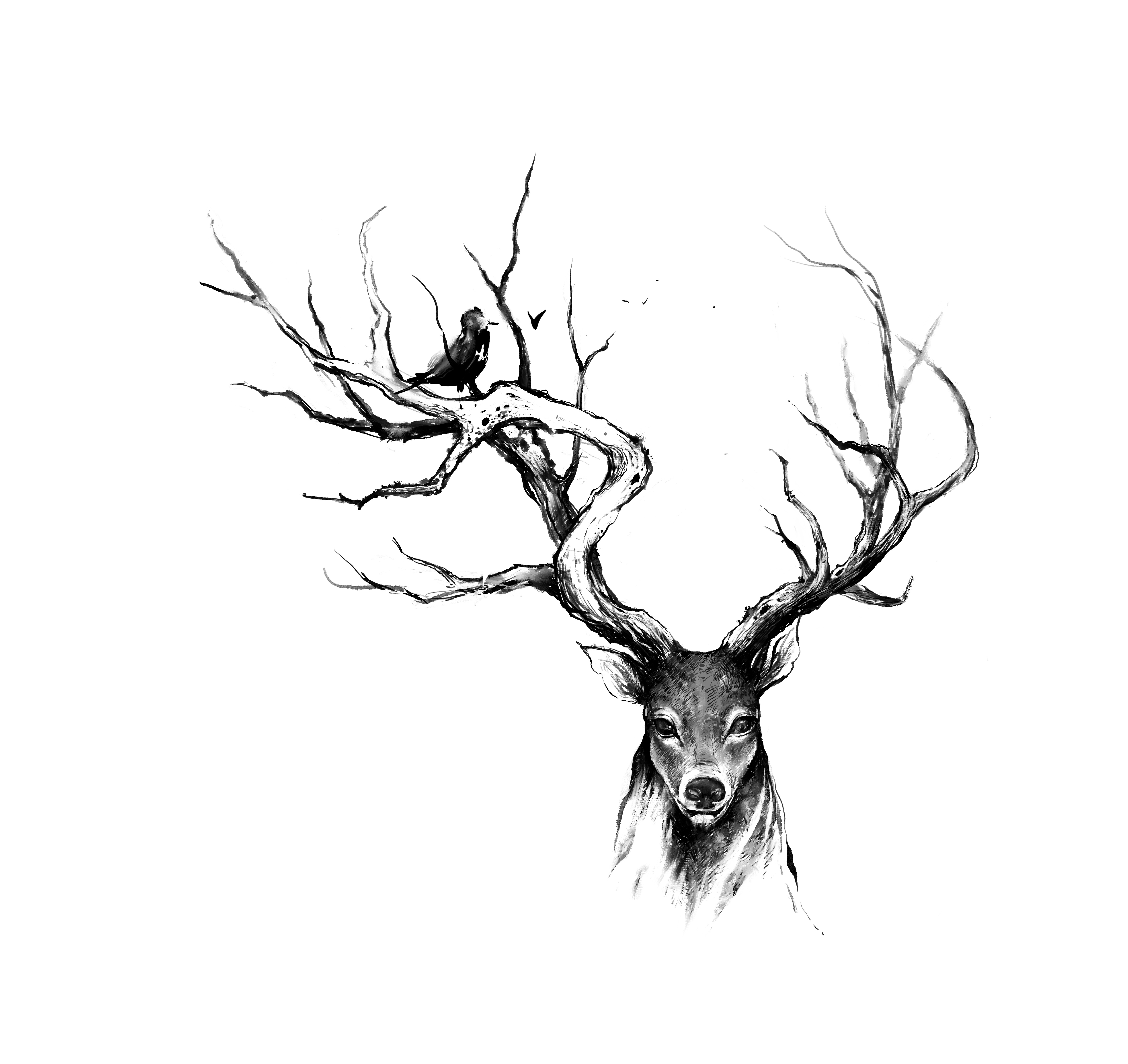 最全详解·鹿纹身的寓意与忌讳