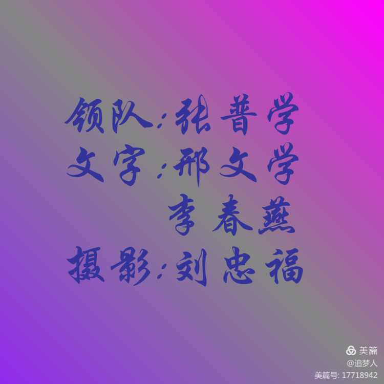 桦南县卫健局组织离退休老党员老专家深入医疗系统督导疫情防控工