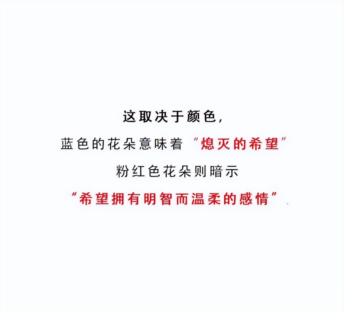 传情示爱最高端的“玩法”！这些珠宝花语你都Get了吗？