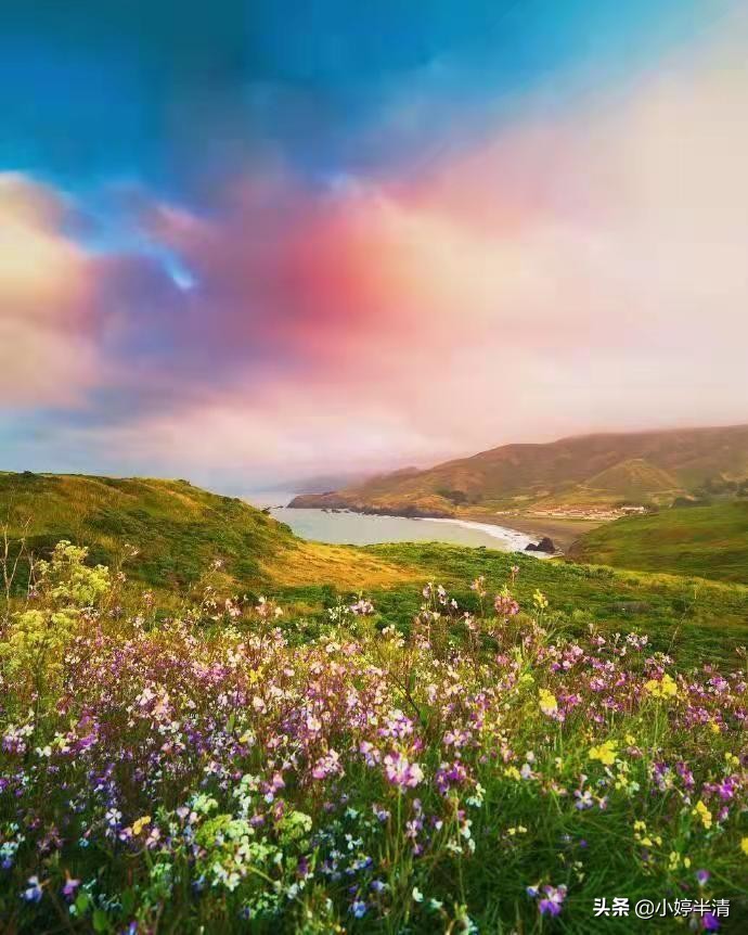 三毛最唯美的10句话，唤醒我们对生活的热爱