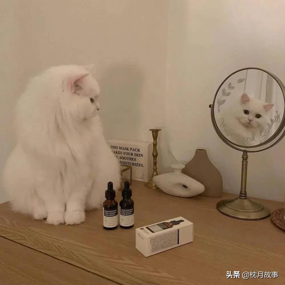 句子库‖是否必须要千疮百孔才能处事不惊