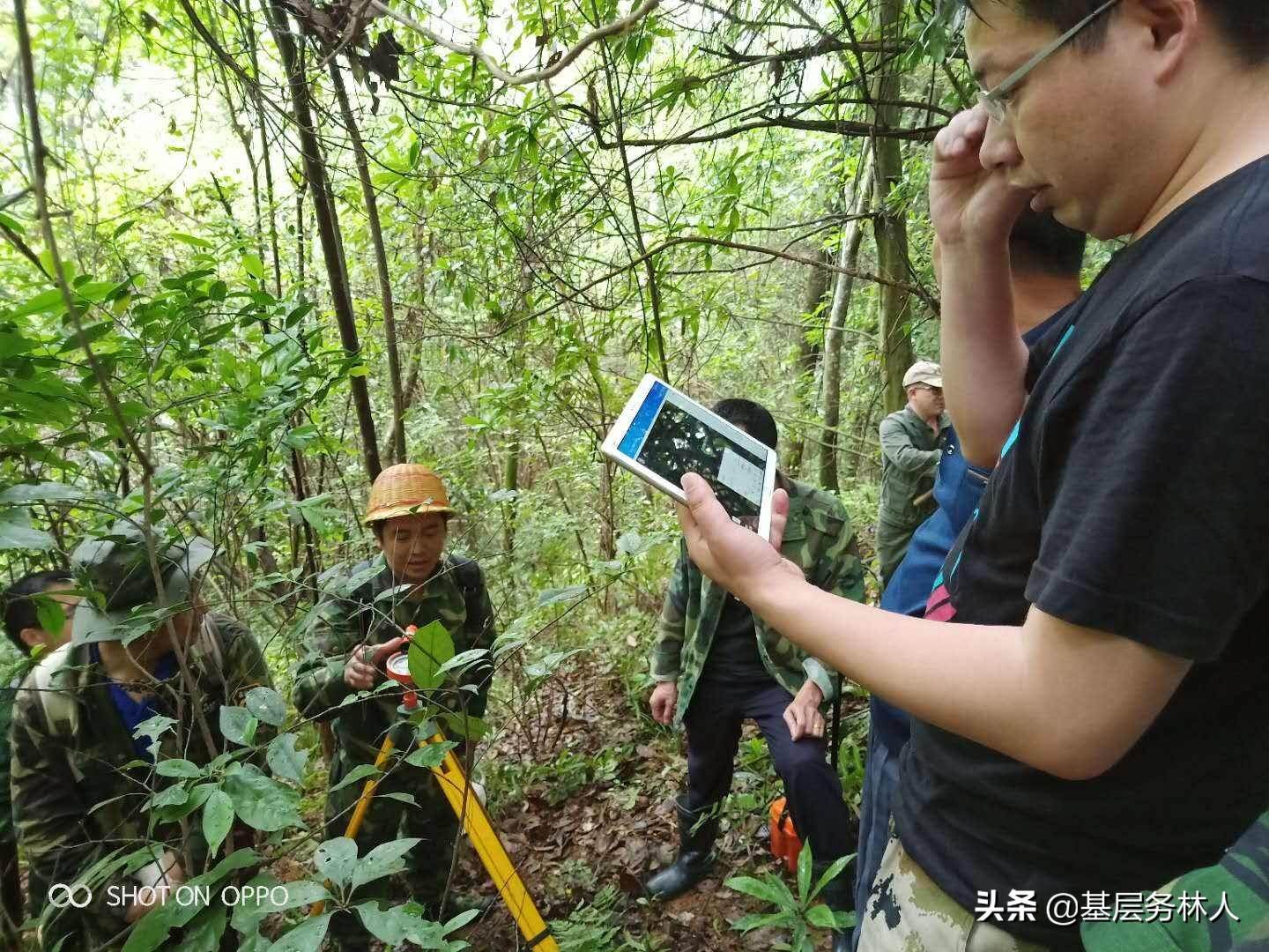 林权类不动产登记业务问答手册（二）林权类不动产地籍调查
