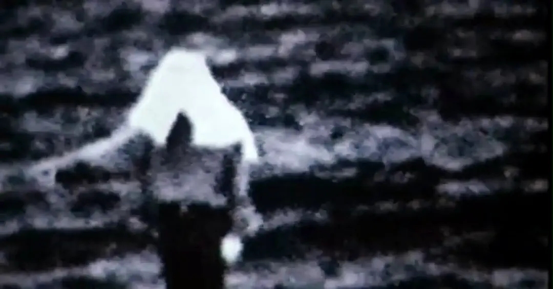 同样是恐怖片，把《咒怨》和《午夜凶铃》放在一起，差距就出来了