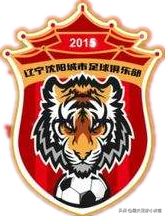 足球與什么生肖有關（虎年前瞻！盤點以老虎為標志的足球隊）