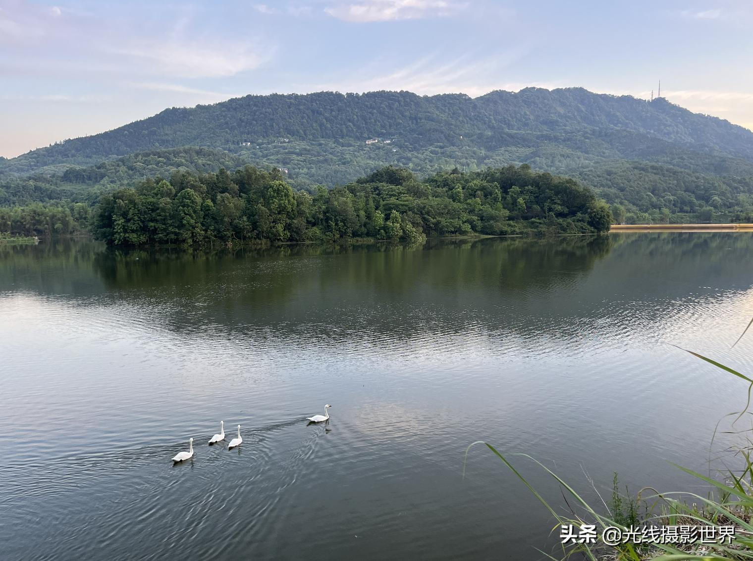 不收門票4a景區!重慶最適合騎行徒步湖泊-銅梁玄天湖,天鵝成群