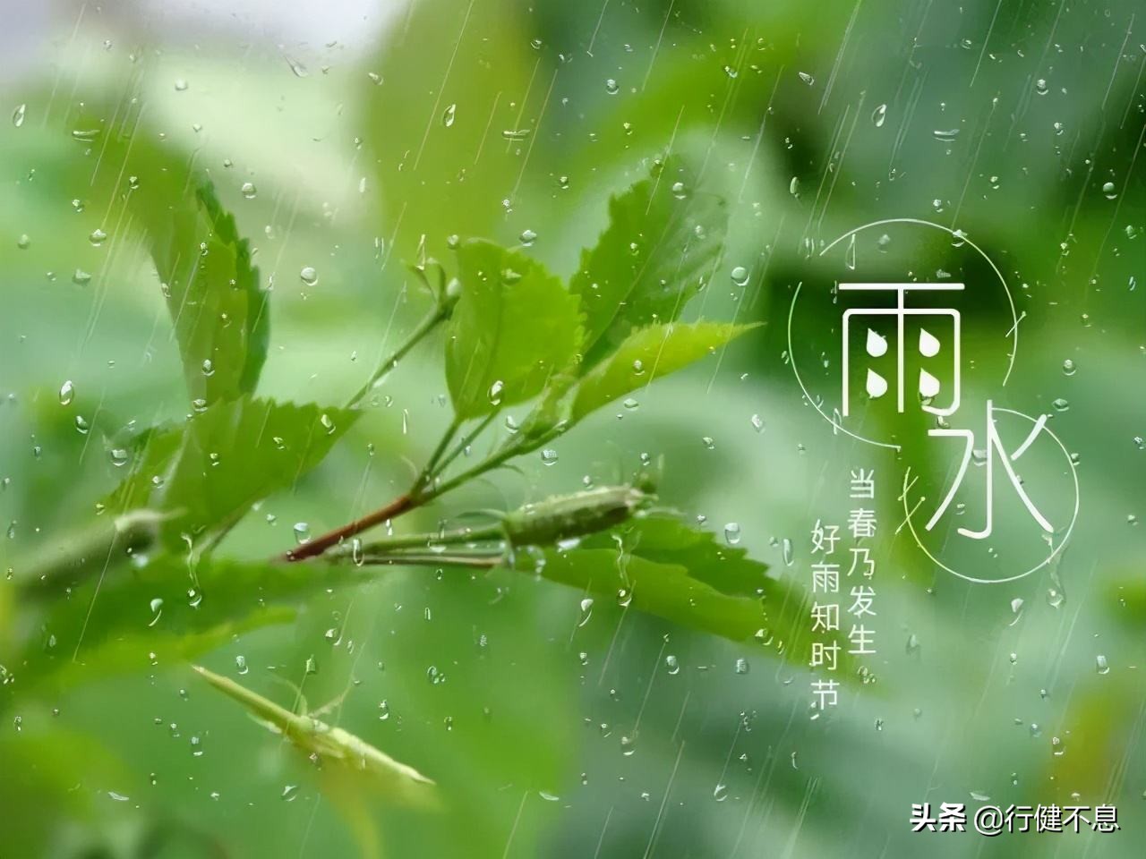 (描写雨的古诗有哪些)