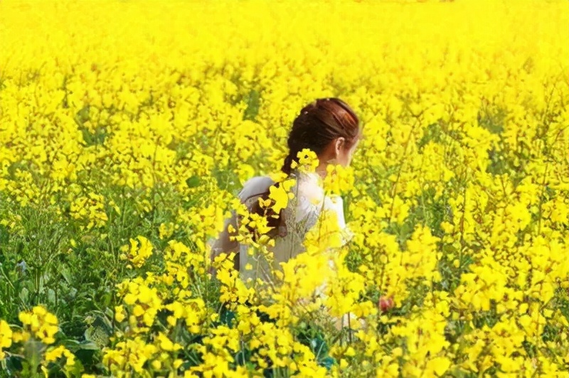 相約鎮(zhèn)巴 赴春盛宴！2022中國最美油菜花海鎮(zhèn)巴旅游文化節(jié)活動搶先看！