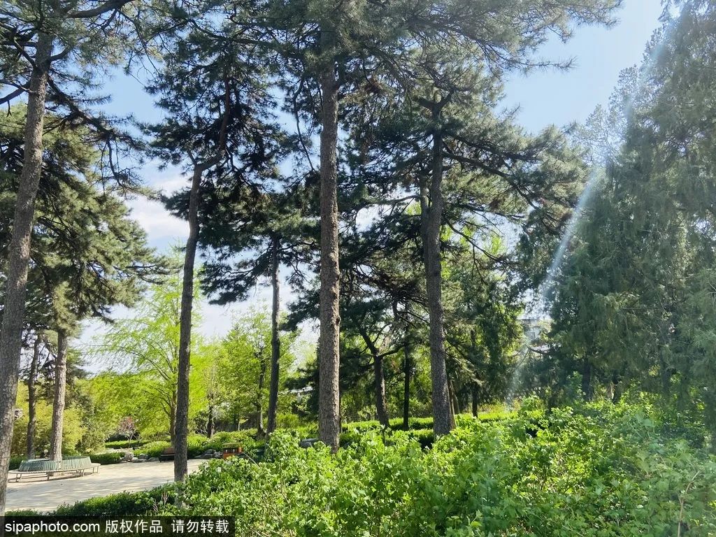 赏花观景老少皆宜，五一登山踏青就来北京这些地方！