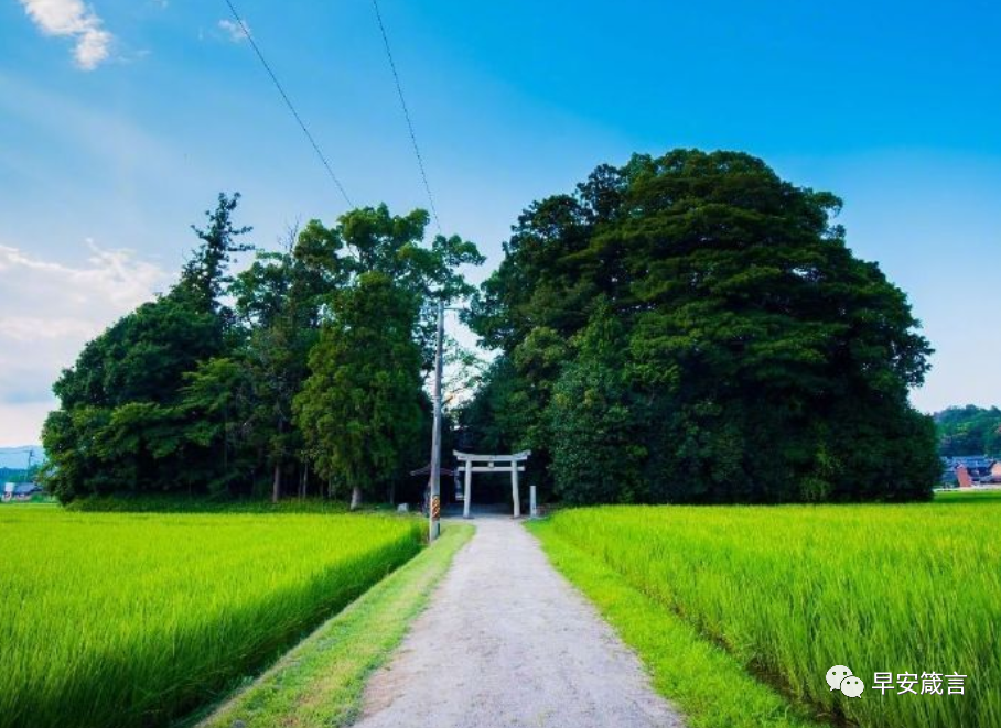 有深度有哲理的人生感悟哲理句子，适合发朋友圈的心灵鸡汤语录