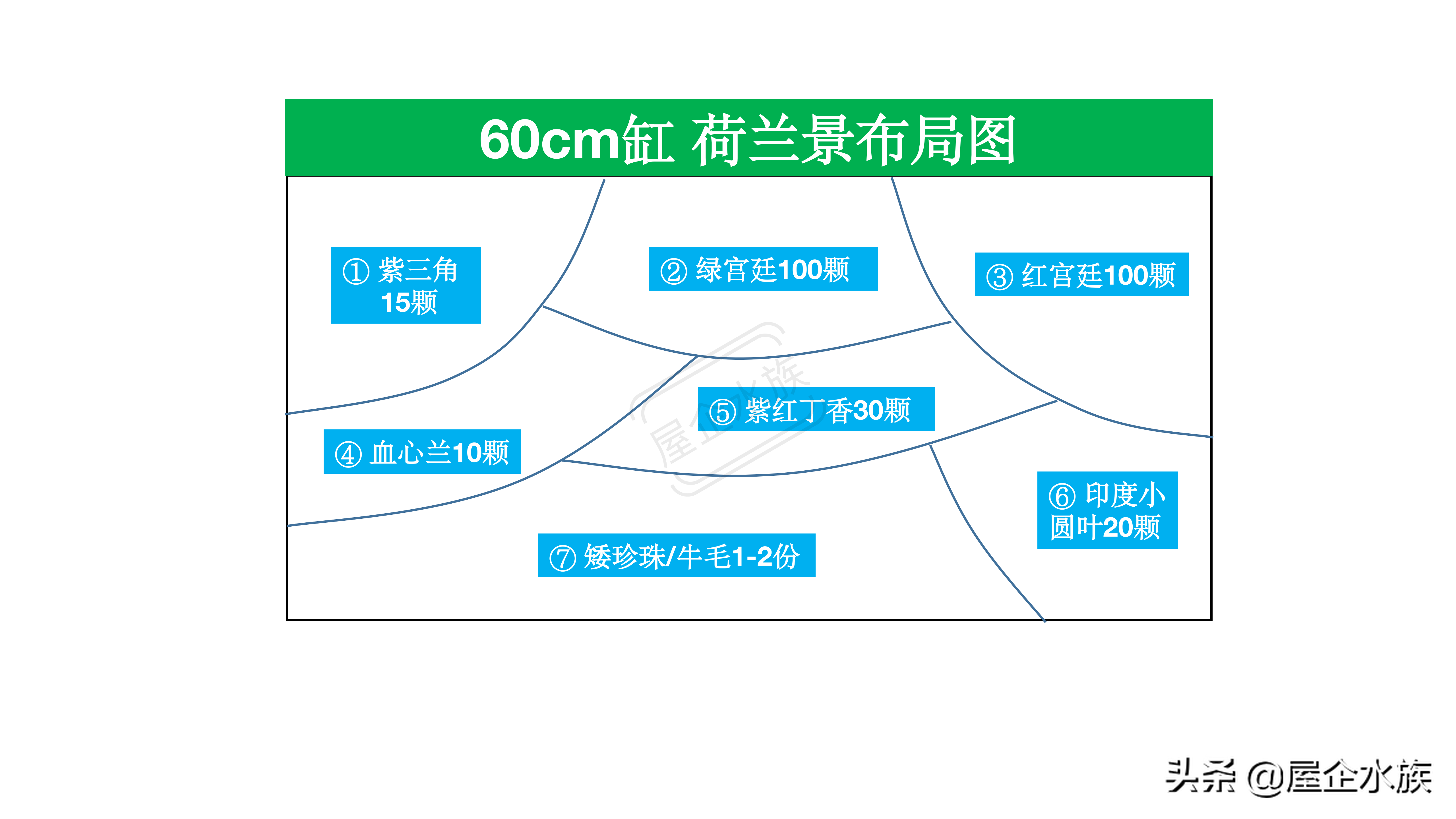 1米2荷兰缸(水草造景风格——荷兰式造景)