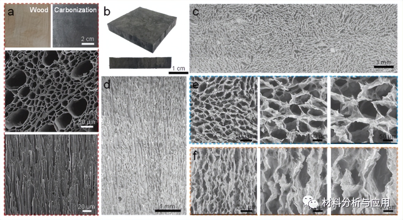 河北工业大学等超弹性石墨烯气凝胶研究取得进展