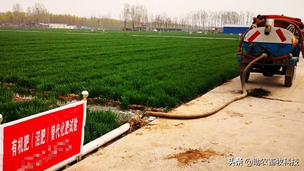 农产品加工与养殖产生的粪水、沼液、生活等废水快速除臭发酵技术