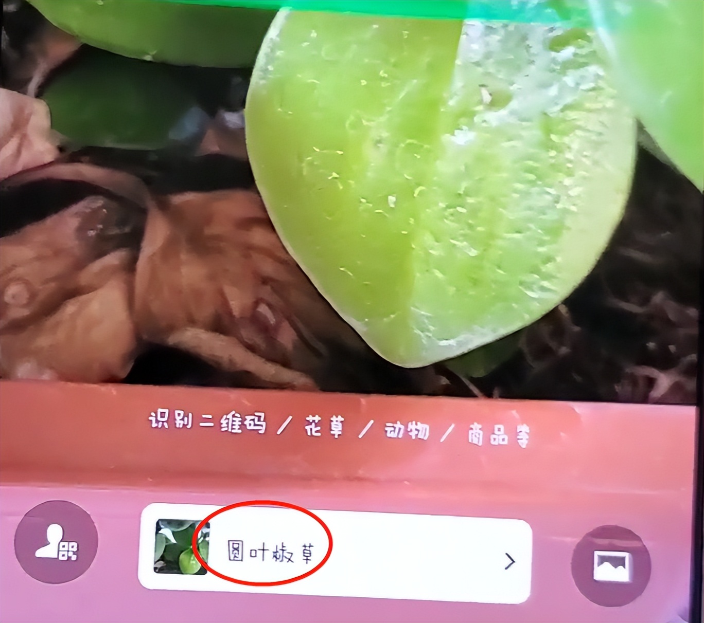 微信“+”号除了扫码，还隐藏这3个功能，学会之后真实用