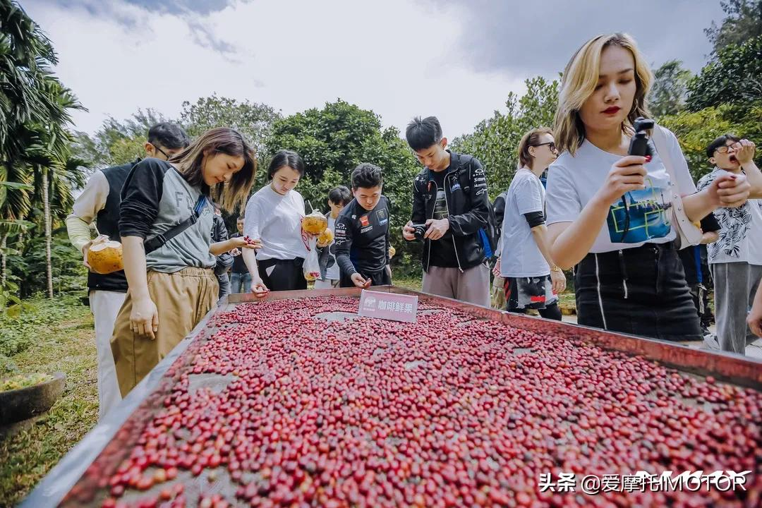 拥有一台NMAX，会有什么隐藏福利？