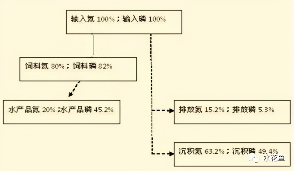 水產(chǎn)養(yǎng)殖尾水處理——多級(jí)人工濕地凈水技術(shù)