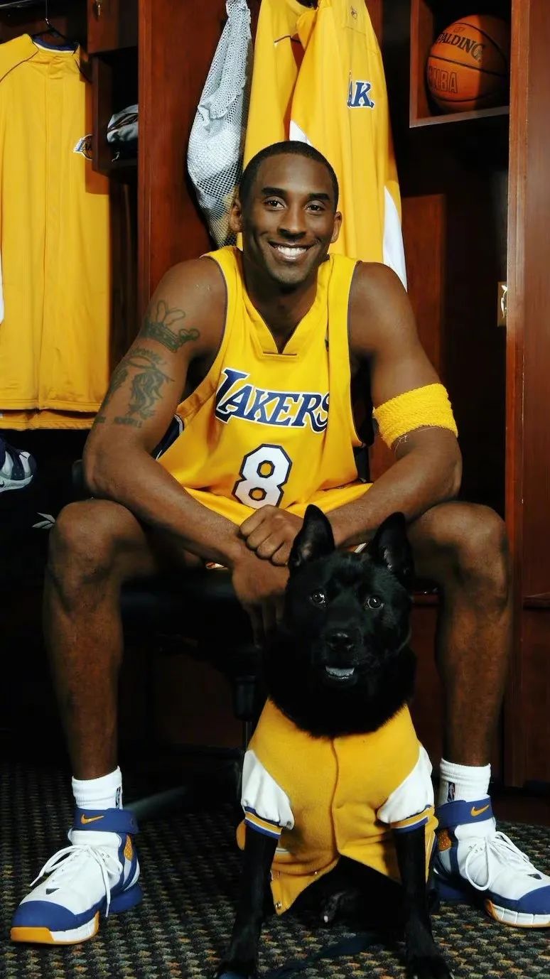 nba篮球潮图壁纸科比(「球星壁纸第28期」:科比·布莱恩特,请拿走你