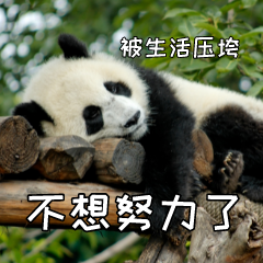 救命！春招路上三大坑，一定要躲开