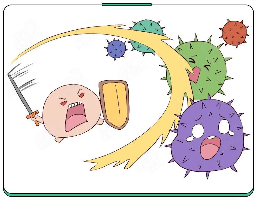 白细胞会在淋巴结中聚集,当人体被细菌或病毒进攻时,是人体防御系统中