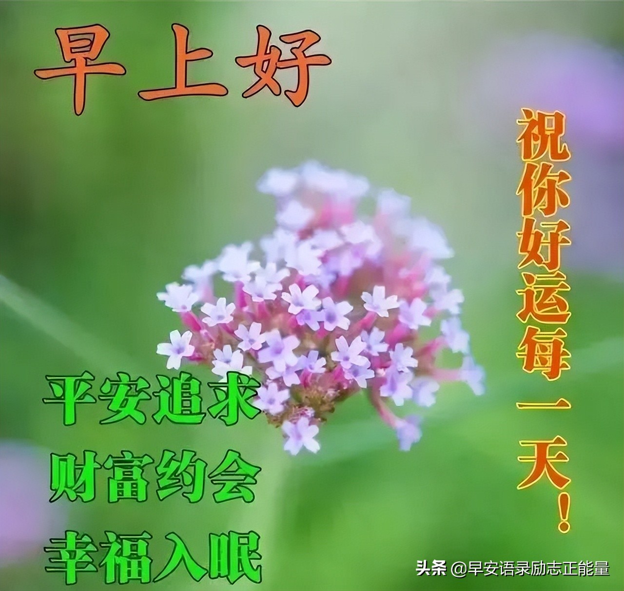 早安心语励志的语句，2022正能量励志语录短句