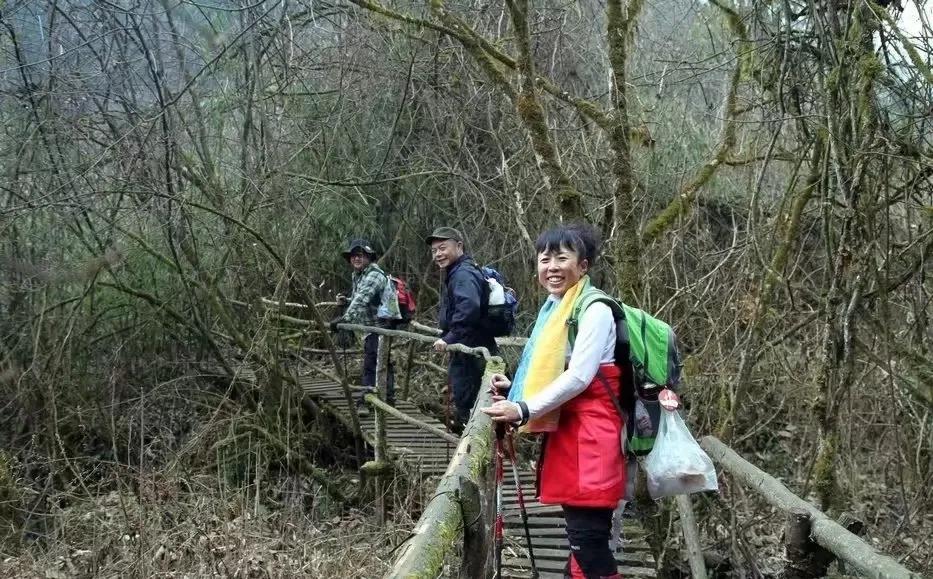 鸡冠山森林公园(崇州鸡冠山森林公园徒步记)