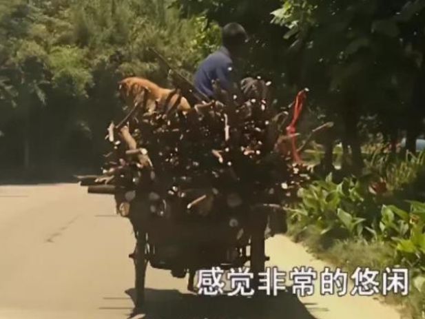 麻绳专挑细处断，厄运总缠苦命人，看完他我知道了现实生活有多苦