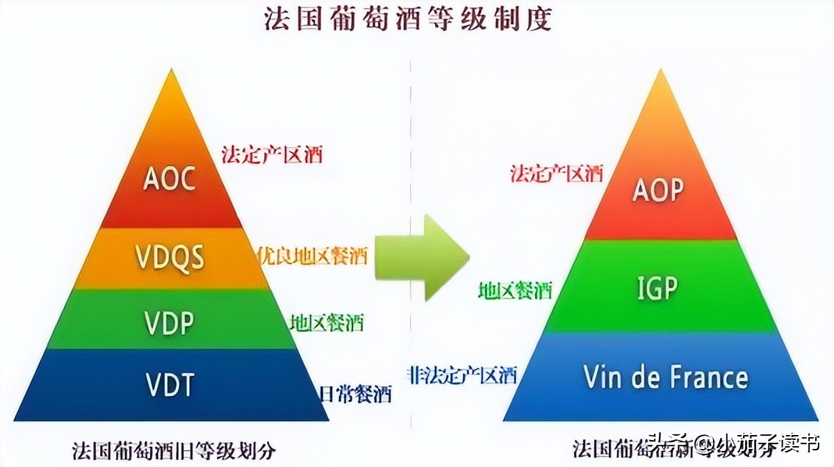 凭什么好葡萄酒，法国造！带你认识法国葡萄酒