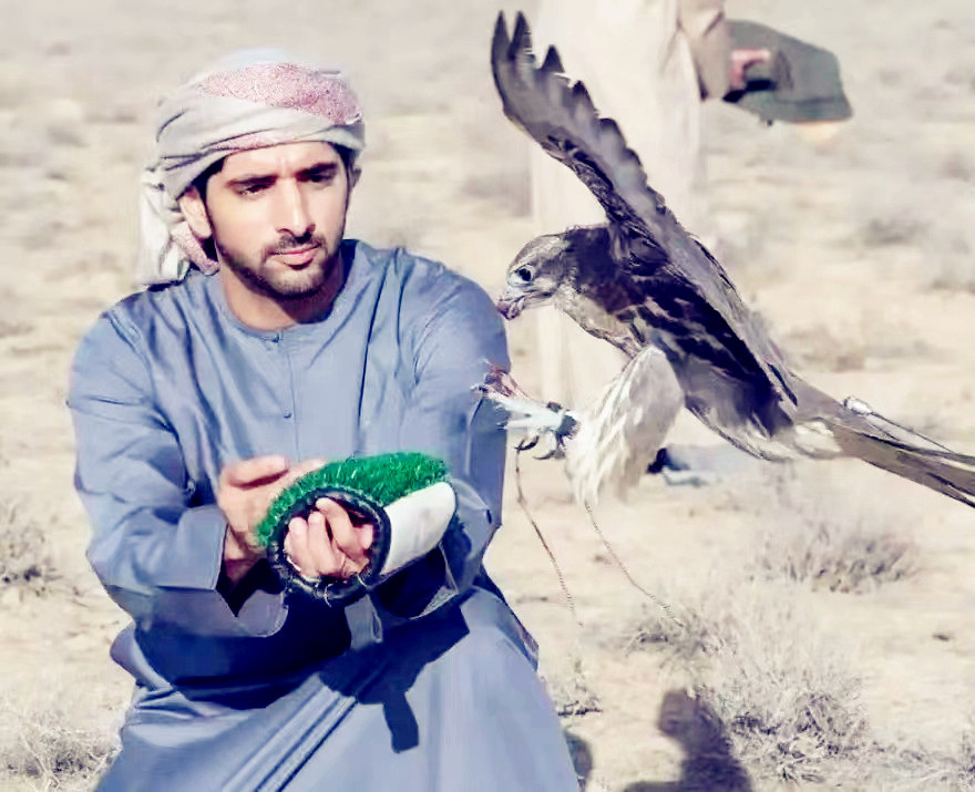 阿联酋迪拜王子(迪拜最帅王子哈曼丹:20架飞机却喜欢徒步,一夫多妻却