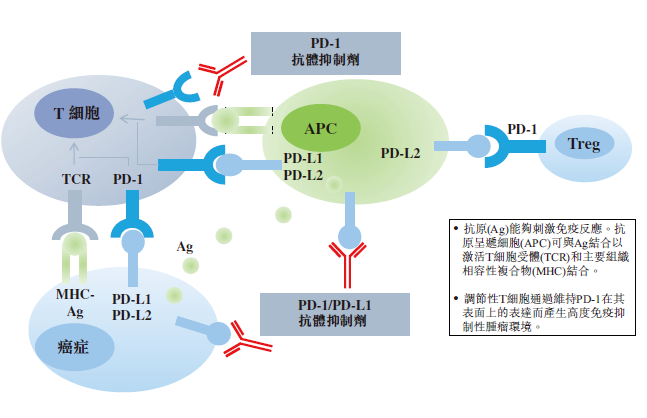 生物药研发、监管及供应链主要特征