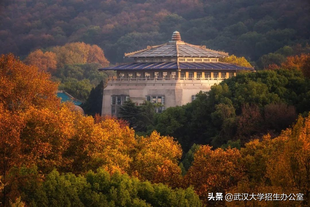 一年以来，美国、加拿大、巴基斯坦等外交官，纷纷来到武汉，都去了同一所大学！