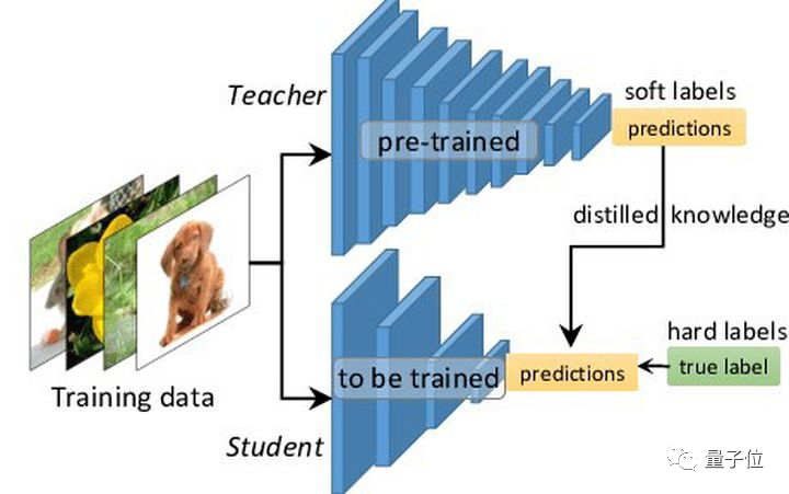 剪掉ImageNet 20%數(shù)據(jù)量，模型性能不下降！方法來自Meta斯坦福等