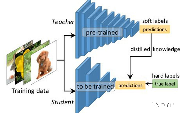 剪掉ImageNet 20%数据量，模型性能不下降！方法来自Meta斯坦福等