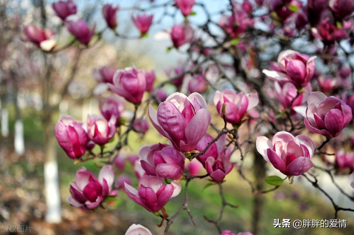 最好的生活就是：不嫉妒别人，不看轻自己，岁月静好，别来无恙