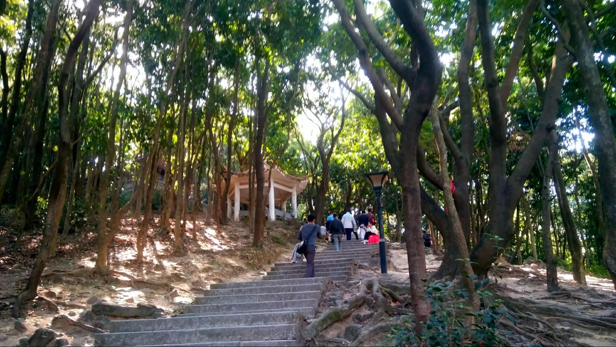 深圳8个免费旅游景点，你去过几个？