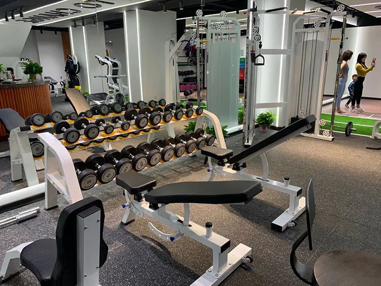 斯迈健身工作室成为IFBB职业和IBFA双项国际认证体系授权培训基地